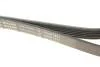 PASEK WIELOROWK. 6PK2490 INA FB6PK2490 (фото 4)