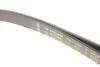PASEK WIELOROWK. 6PK2490 INA FB6PK2490 (фото 5)