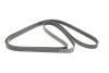 PASEK WIELOROWK. 6PK2520 INA FB6PK2520 (фото 2)