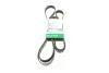 PASEK WIELOROWK. 6PK2870 FB6PK2870