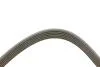 Фото 2 - pasek wielorowk. 6pk2870 INA FB6PK2870 PASEK WIELOROWK. 6PK2870 INA FB6PK2870 (фото 2)