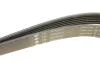 Фото 3 - pasek wielorowk. 6pk2870 INA FB6PK2870 PASEK WIELOROWK. 6PK2870 INA FB6PK2870 (фото 3)