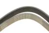 Фото 4 - pasek wielorowk. 6pk2870 INA FB6PK2870 PASEK WIELOROWK. 6PK2870 INA FB6PK2870 (фото 4)
