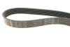 PASEK WIELOROWK. 7PK1145 INA FB7PK1145 (фото 2)