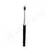 NISSAN Амортизатор газ.задн.Leaf 10- JAPANPARTS MM-10119 (фото 3)