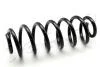 Пружина задня VW Passat 05-10/Tiguan 07-18  1.4-2.0 ZCJ6438H
