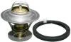 Термостат Ford Transit 2.5 TD 88-94 (88C) 1514600210