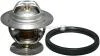 Термостат Ford Escort/Focus/Mondeo/Scorpio/Transit 1.3-2.9 86-15 (92C) з прокладкою 1514600310