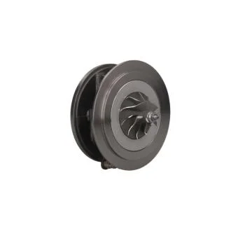 Картридж турбины (отбалансированный) GT2052V FORD Transit V-347,2.4L 2006 Jrone 1000-010-168