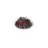 Компресорне колесо K03 AUDI, VW 1.8T 95-08 Jrone 1200-030-032 (фото 4)