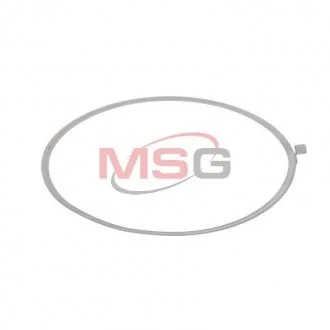 Уплотнительное кольцо GARRETT GT2256V IVECO DAILY III 01-, DAILY Jrone 2080-010-006B (фото 1)
