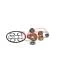 Ремкомплект турбины HOLSET H2D-9 Jrone 5000-020-017 (фото 3)