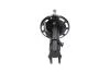 KAVO PARTS HONDA Амортизатор газ.передн.прав.Jazz II 02-03/05 SSA-2013
