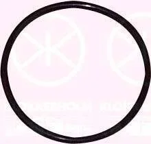 Ущільнювач, датчик рівня палива, Ø64MM KLOKKERHOLM 00540092