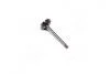 Клапан впускний VAG 1,9TDi 99-35.9x7x89.9 (пр-во KS) 331033