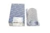 Вкладиши коренные (+0,50 mm) GRAND SCENIC III, GRAND SCENIC IV, 1.6D 04.11- 37204620