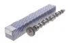 Фото 2 - розподільчий вал EX Audi A5 2.0 Tdi 08-/Skoda Fabia 1.6 Tdi 10-14/VW Golf Vi 2.0 Tdi 10-13 KOLBENSCHMIDT 50 007 022 Розподільчий вал EX Audi A5 2.0 Tdi 08-/Skoda Fabia 1.6 Tdi 10-14/VW Golf Vi 2.0 Tdi 10-13 KOLBENSCHMIDT 50 007 022 (фото 2)