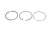 Кольца поршневые VW/Audi 1.6-2.2 -84 79.5 1.75*2*4 KOLBENSCHMIDT 800000911000 (фото 1)