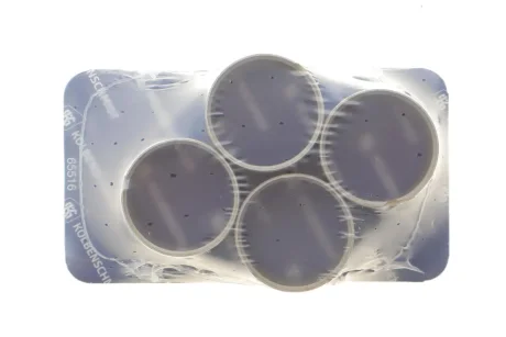 Комтплект підшипника ковзання пальця шатуна двигуна KOLBENSCHMIDT 87 355 693