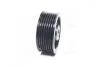 Направляющий ролик PU157025BRR1XY