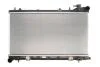Радиатор охлаждения  FORESTER  (AT) PL091604