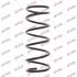 Пружина K-FLEX FORD/MAZDA Fiesta/121 "F "95-03 RA1059