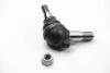 Опора кульова нижня. MERCEDES S (W140) 01.93-02.99 LEMFORDER 10741 02 (фото 2)