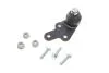 Опора шаровая передняя, R, FORD Kuga, 2.0-2.5, 08-12 37886 01