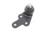 Опора шаровая передняя, R, FORD Kuga, 2.0-2.5, 08-12 LEMFORDER 37886 01 (фото 2)