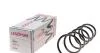 Пружина підвіски передня, DACIA Duster 1,2 TCE 4x4 10- 4017006