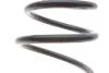 Пружина підвіски передня, RENAULT Kangoo 1,6 16V / 1,9D / 1,9 TD 98-2/08 LESJOFORS 4072941 (фото 2)