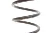 Пружина підвіски задня, VW Golf 10/97-9/03 LESJOFORS 4295034 (фото 2)
