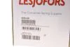 Пружина ходової частини LESJOFORS 4295100 (фото 2)