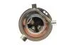 Лампа розжарювання MAGNETI MARELLI 002535100000 (фото 3)