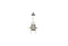 Лампа накаливания H7 12V 55W PX26d STANDART MAGNETI MARELLI 002557100000 (фото 4)