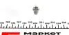 Лампа 24V BAX10D 1.2W GREY (кор.код. PB5 1,2W 24) MAGNETI MARELLI 003724100000 (фото 1)