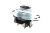 Підвіска двигуна RENAULT CLIO, KANGOO (пр-во Magneti Marelli) 030607010739