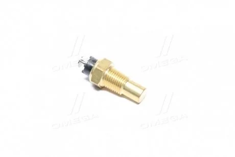 Датчик темп. охлаждающей жидкости (кор.код.SPA171) MAGNETI MARELLI 171916011710