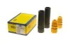 MAGNETI MARELLI KIA Защита аморт.передн.к-кт Rio 05- 310116110219