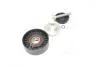 Ролик ведучий BMW (, кор. код MPQ0021) MAGNETI MARELLI 331316170021 (фото 2)