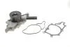 Водяний насос (пр-во Magneti Marelli кор.код. WPQ0691) 352316170691