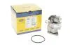 Водяний насос (пр-во Magneti Marelli кор.код. WPQ0749) 352316170749