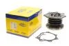 Водяний насос (пр-во Magneti Marelli кор.код. WPQ0798) 352316170798