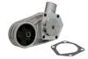MAGNETI MARELLI Помпа воды SKODA [352316171029] 352316171029