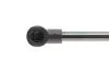 Фото 3 - амортизатор крышки MAGNETI MARELLI 430719022600 Амортизатор крышки MAGNETI MARELLI 430719022600 (фото 3)