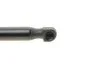 Амортизатор багажника OPEL VECTRA C (кор.код. GS0337) MAGNETI MARELLI 430719033700 (фото 3)
