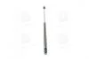 Амортизатор багажника MITSUBISHI (кор.код. GS0349) MAGNETI MARELLI 430719034900 (фото 2)