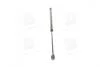 Амортизатор багажника MITSUBISHI (кор.код. GS0349) MAGNETI MARELLI 430719034900 (фото 4)