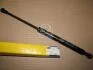 Фото 1 - амортизатор багажника VOLVO S80 (кор.код.. GS0490) MAGNETI MARELLI 430719049000 Амортизатор багажника VOLVO S80 (кор.код.. GS0490) MAGNETI MARELLI 430719049000 (фото 1)