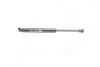 Амортизатор багажника BMW (пр-во Magneti Marelli кор.код. GS0524) 430719052400